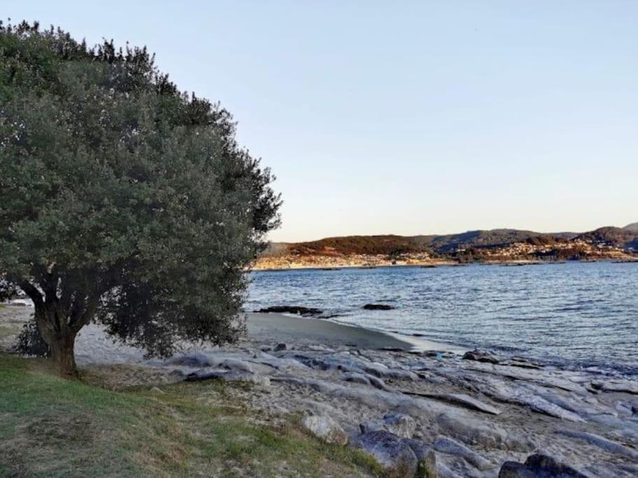 Apartamento Con Jardin Y Piscina Temporada Verano Privados Samieira Bagian luar foto