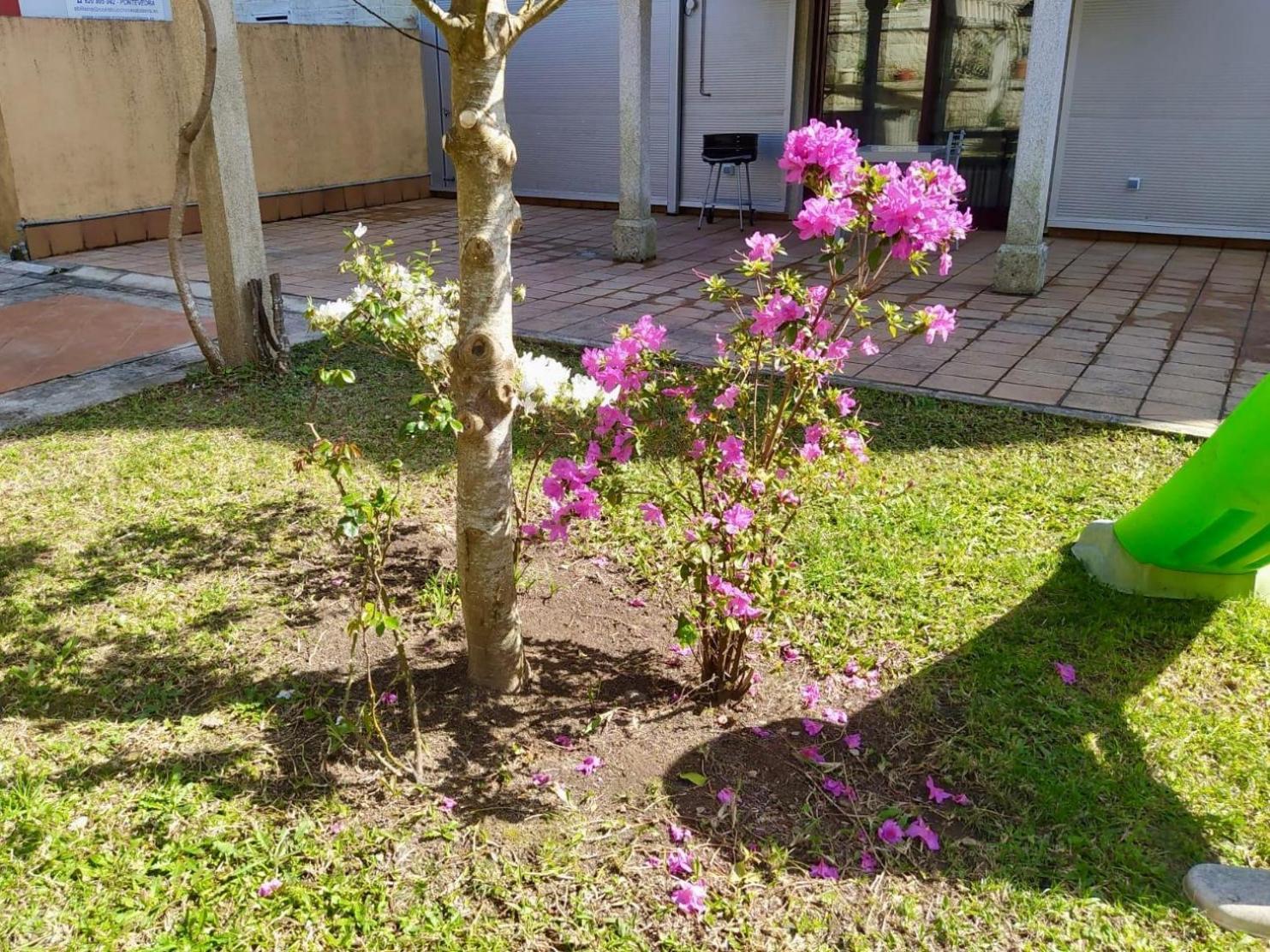 Apartamento Con Jardin Y Piscina Temporada Verano Privados Samieira Bagian luar foto