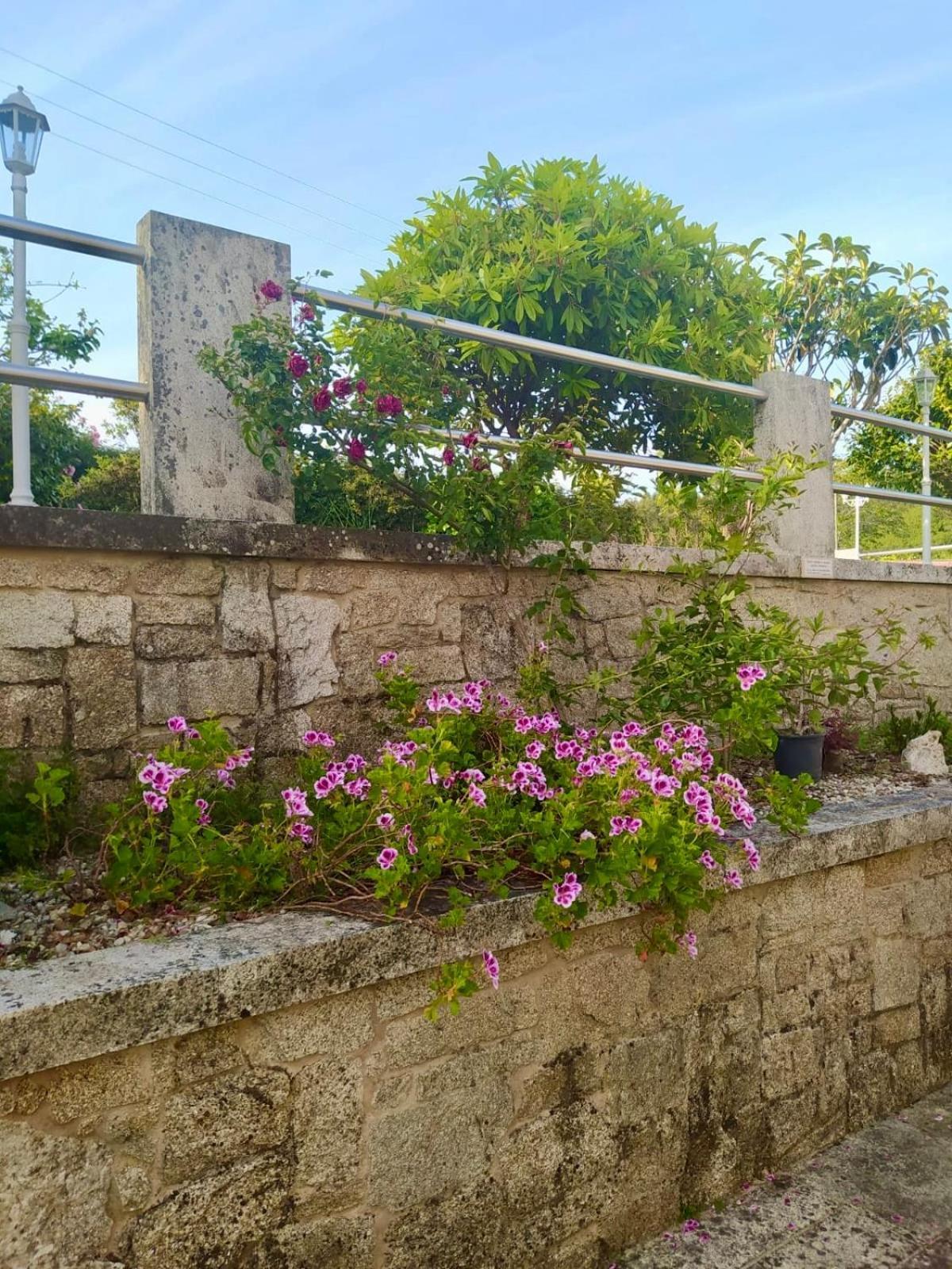 Apartamento Con Jardin Y Piscina Temporada Verano Privados Samieira Bagian luar foto